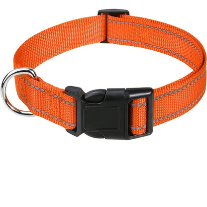 Reflecterende Halsband